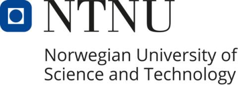 Norwegian University of Science and Technology logo